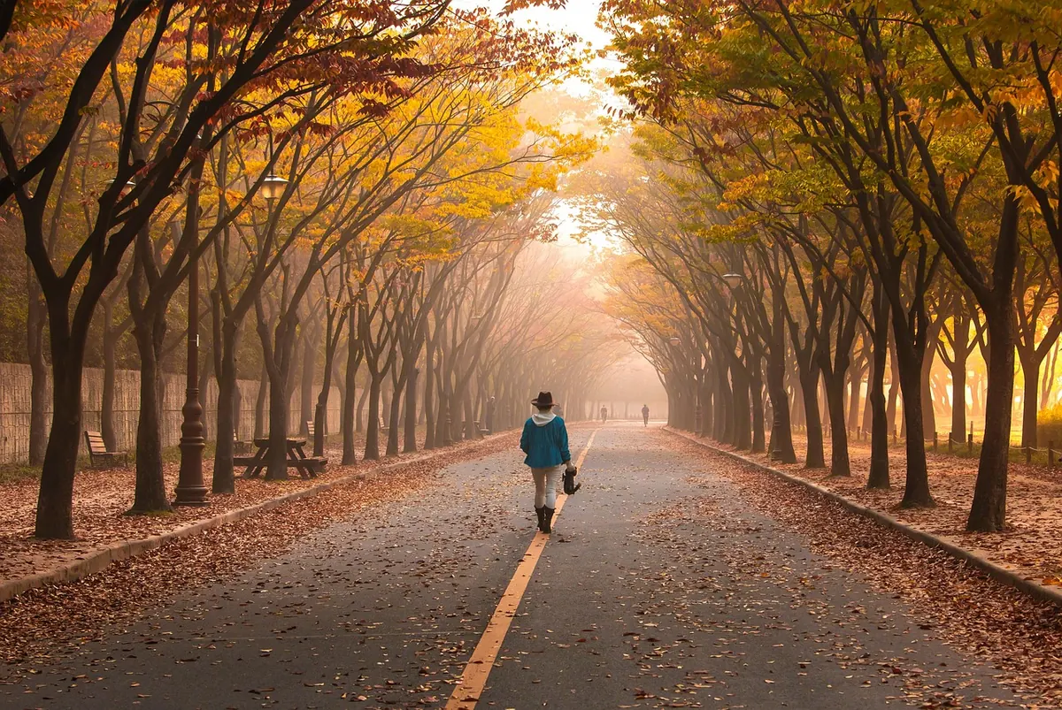 Seasonal Mist: A Month-by-Month Guide to UK Fog